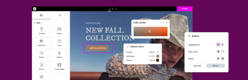 Elementor Pro – Advanced Page Builder for WordPress & WooCommerce
