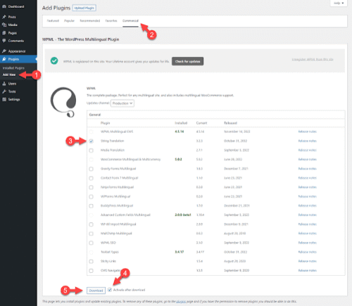 WPML – Advanced WordPress Translation Plugin for Multilingual Websites