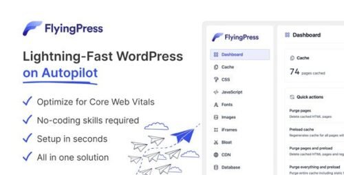 FlyingPress – Advanced WordPress Speed Optimization & Performance Plugin