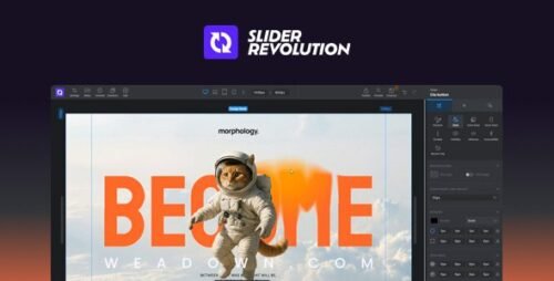 Slider Revolution – Powerful Responsive Slider & Hero Section Builder for Stunning Websites