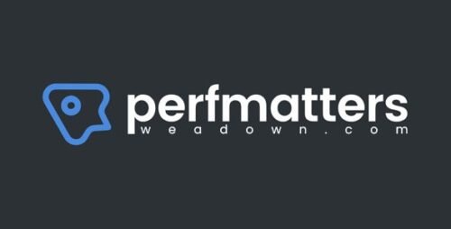 Perfmatters – Advanced Speed Optimization for Faster WordPress Websites