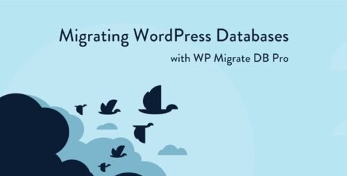 WP Migrate Pro – Advanced WordPress Database Migration & Site Transfer Plugin